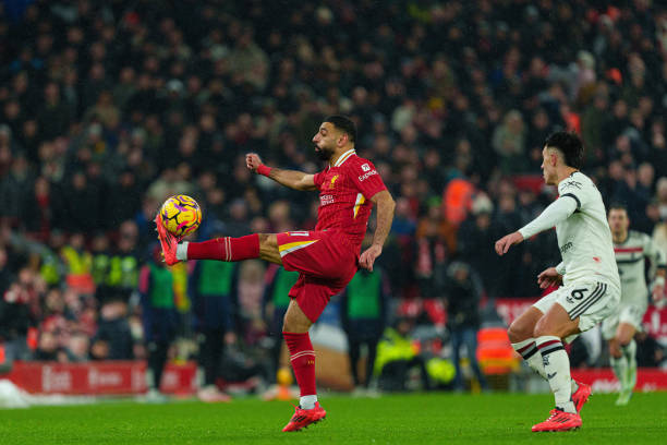 从小就喜欢 从小就喜欢