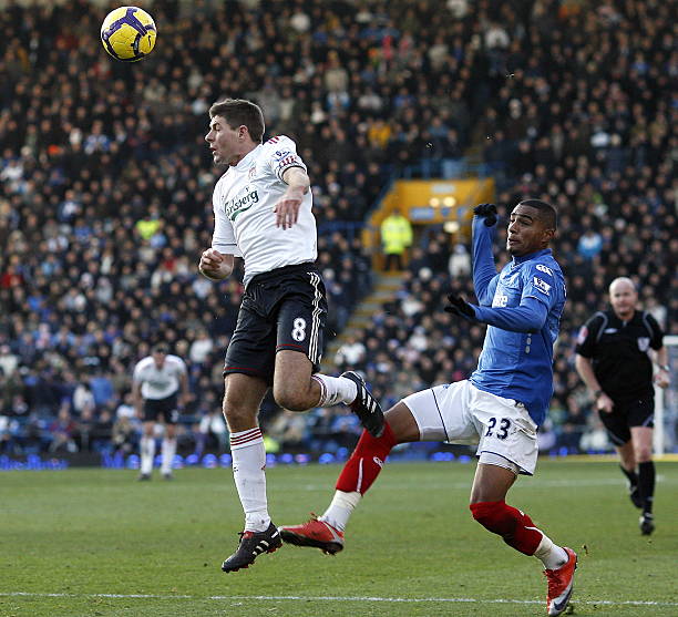 食材如蓝莓 食材如蓝莓