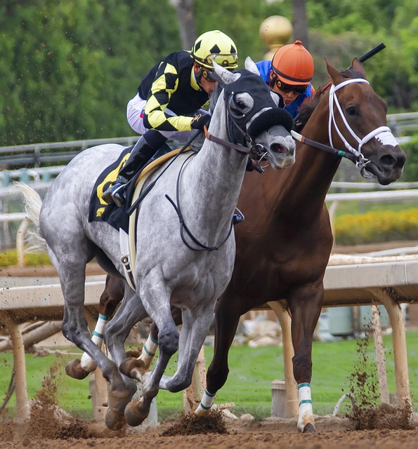 在等待一个 在等待一个